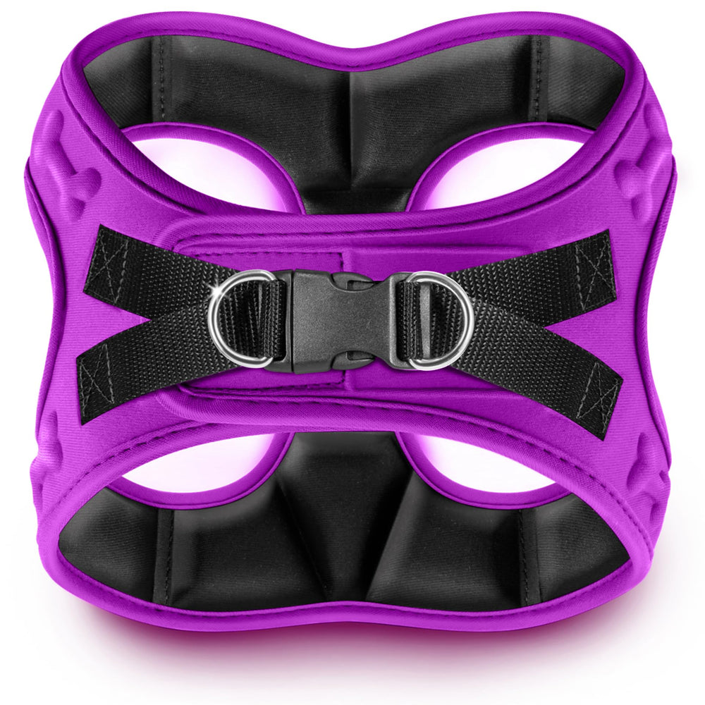 Metric USA Comfort Fit Step-in Harness on a dog during a casual walk for comfortable support.