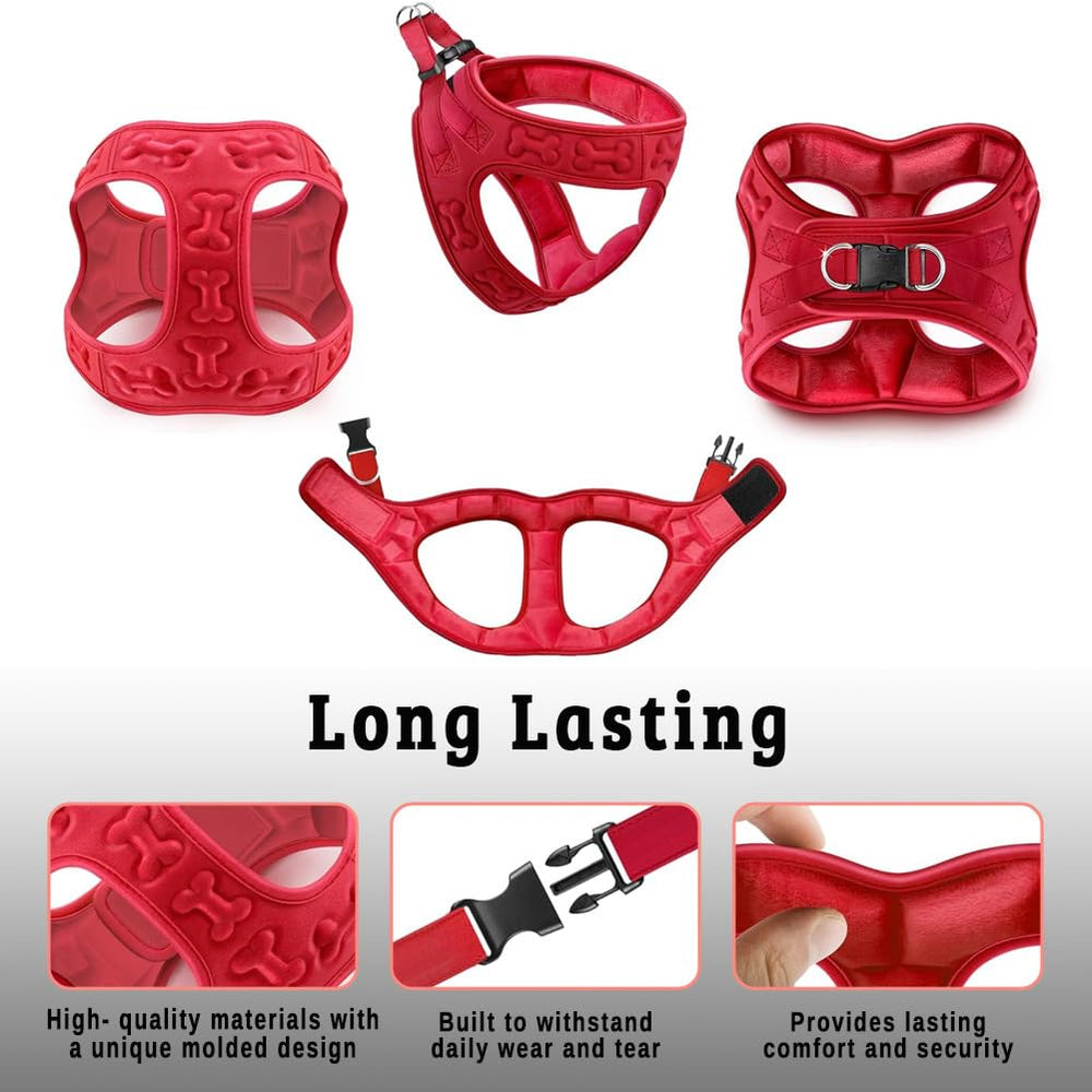 Metric USA dog harness for everyday walks shows simple, secure adjustment and use.