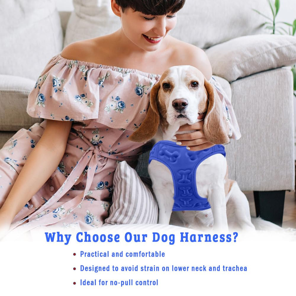 Metric USA dog-harness in-action during training for improved control
