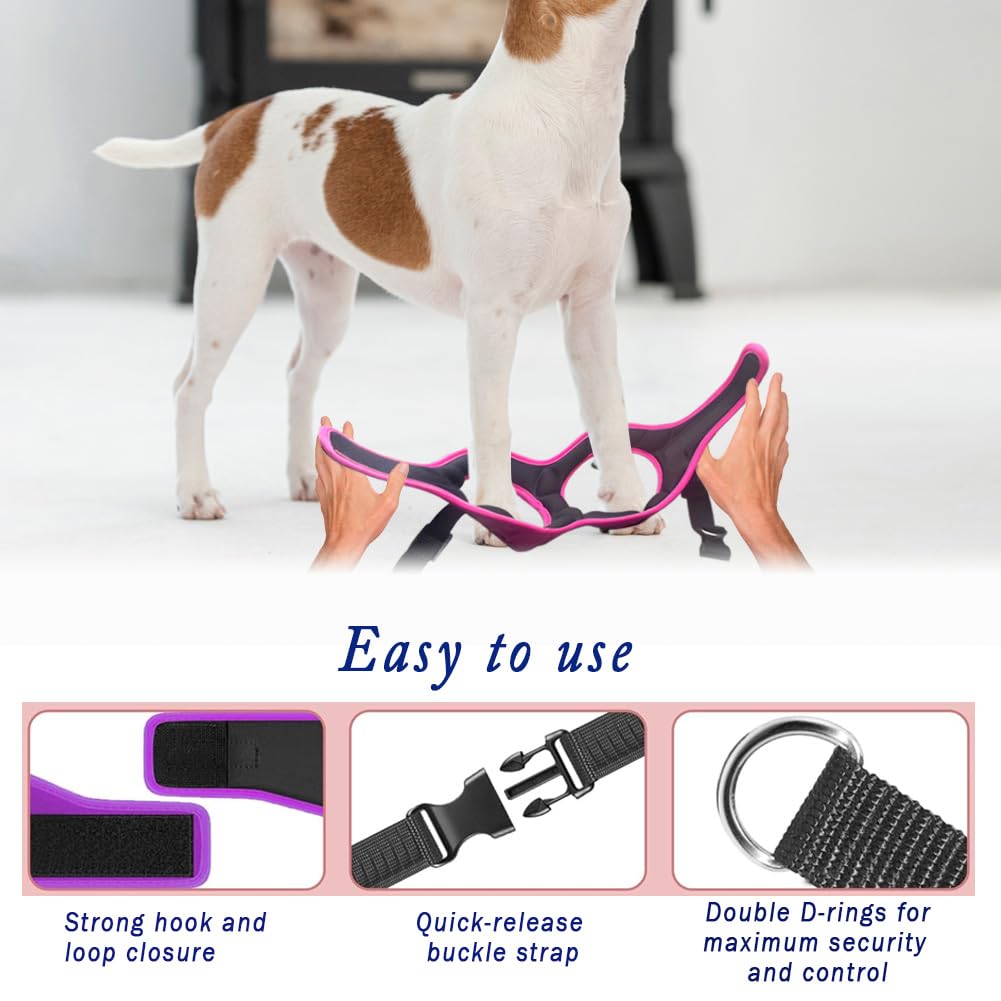 Metric USA easy-on-off step-in design facilitates quick wearing for daily routines.