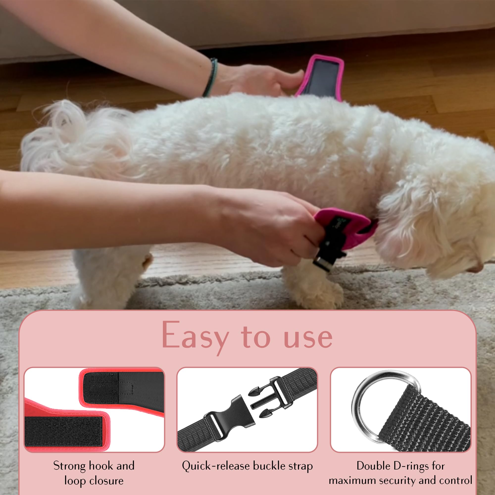 Metric USA No Pull Harness back-clip supports relaxed walks with secure leash attachment.