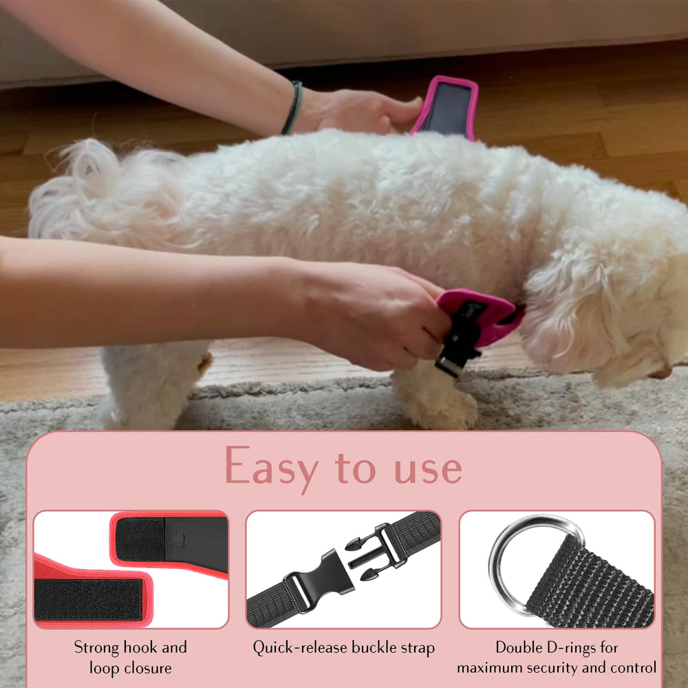 Metric USA No Pull Harness back-clip supports relaxed walks with secure leash attachment.