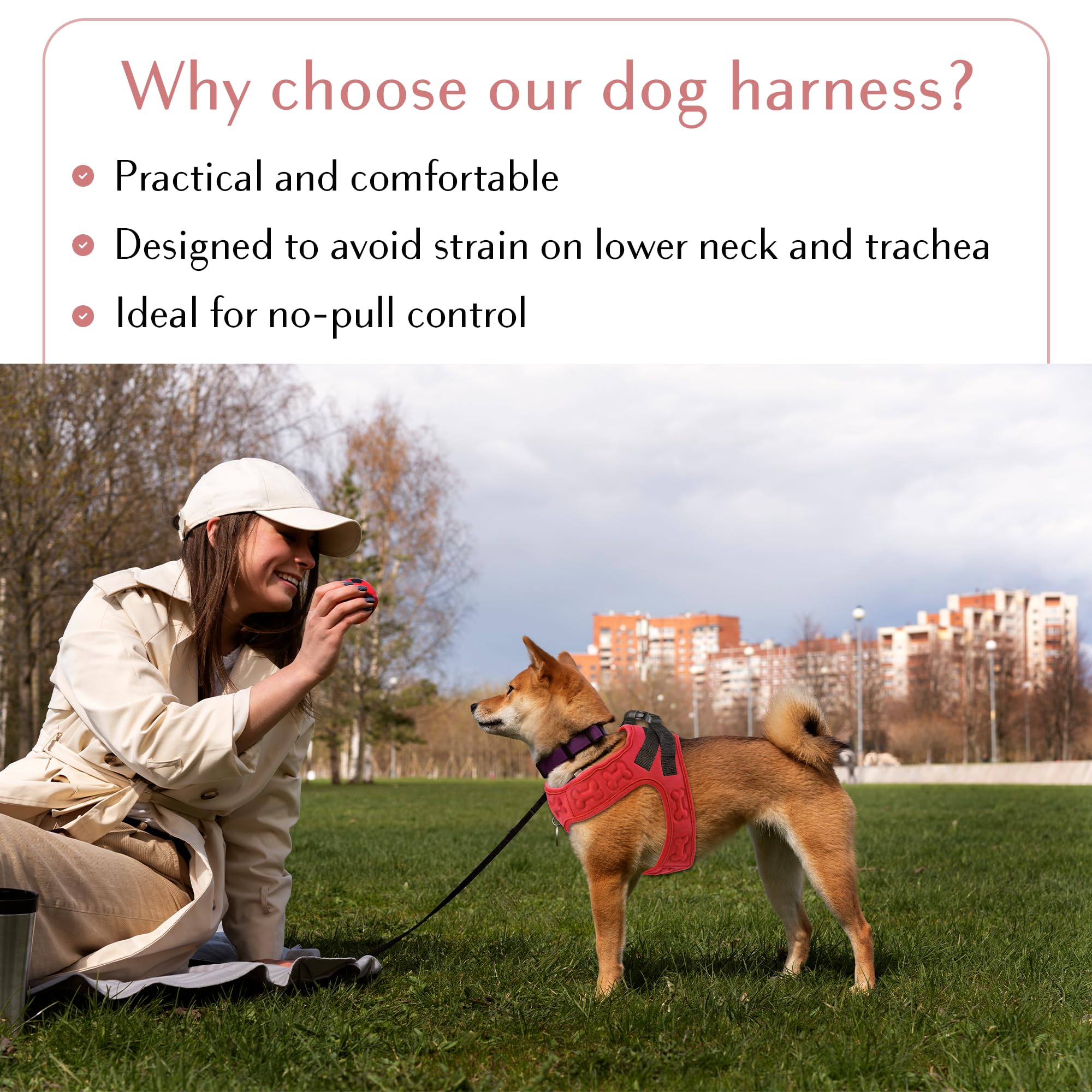Metric USA No Pull Harness reinforced stitching and durable buckles support active dogs.