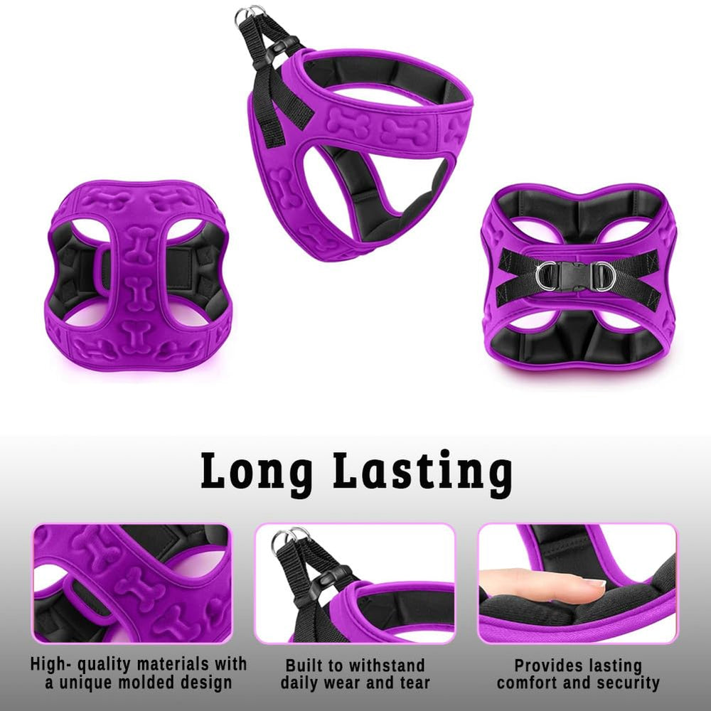 Metric USA dog harness on a pet during an outdoor stroll with secure fit.