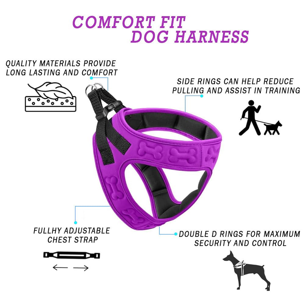 Metric USA secure buckle harness keeps dog steady during training and walks.