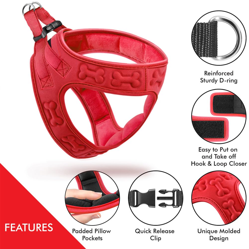 Metric USA secure buckle feature photo emphasizes stay-in-place fit during outdoor activities.