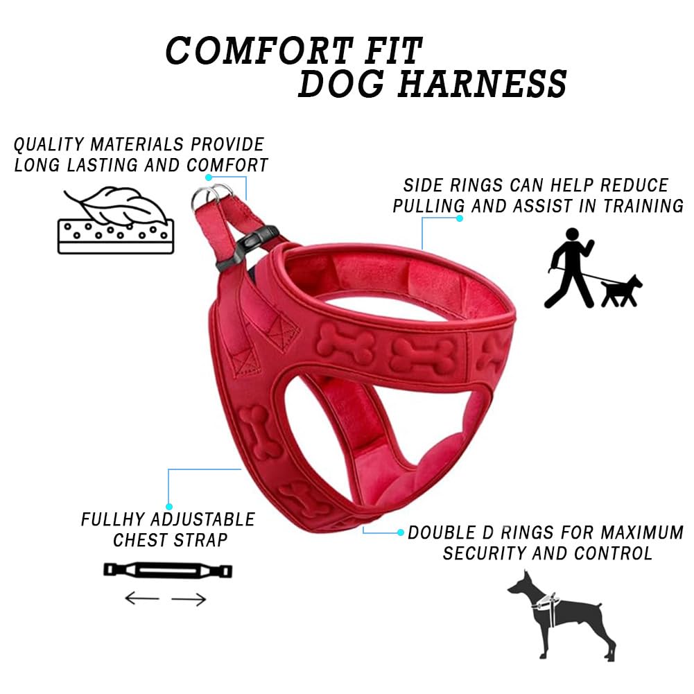Metric USA small-dog fit closeup highlights tailored sizing for Chihuahuas and Pomeranians.