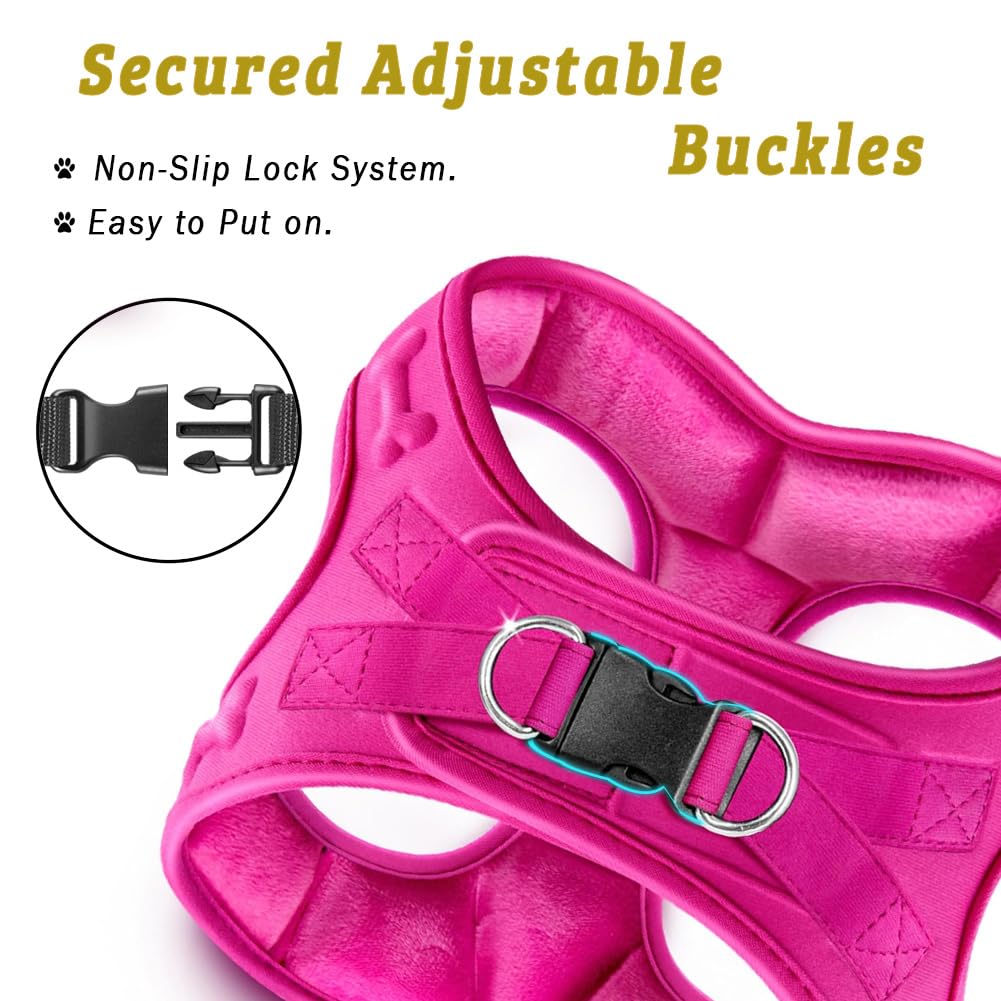 Metric USA Small dog wearing harness showcases easy on-off and secure fit.
