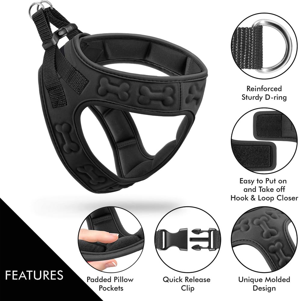 Metric USA Soft breathable padding keeps dogs comfortable during walks and play.