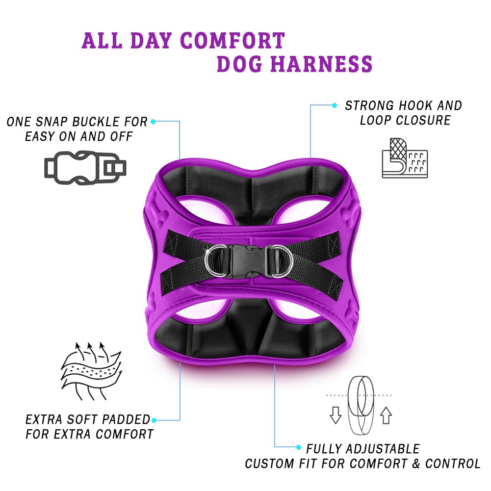 Metric USA small-breed harness on lap-walk demonstrating breathable padding.