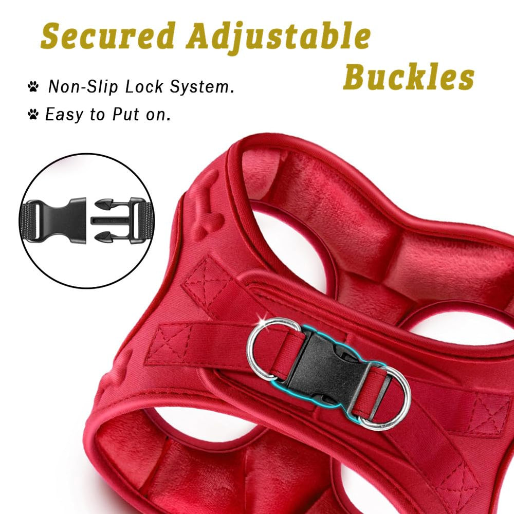 Metric USA soft-padded harness on walking scene illustrates pleasant, chafe-free daily wear.