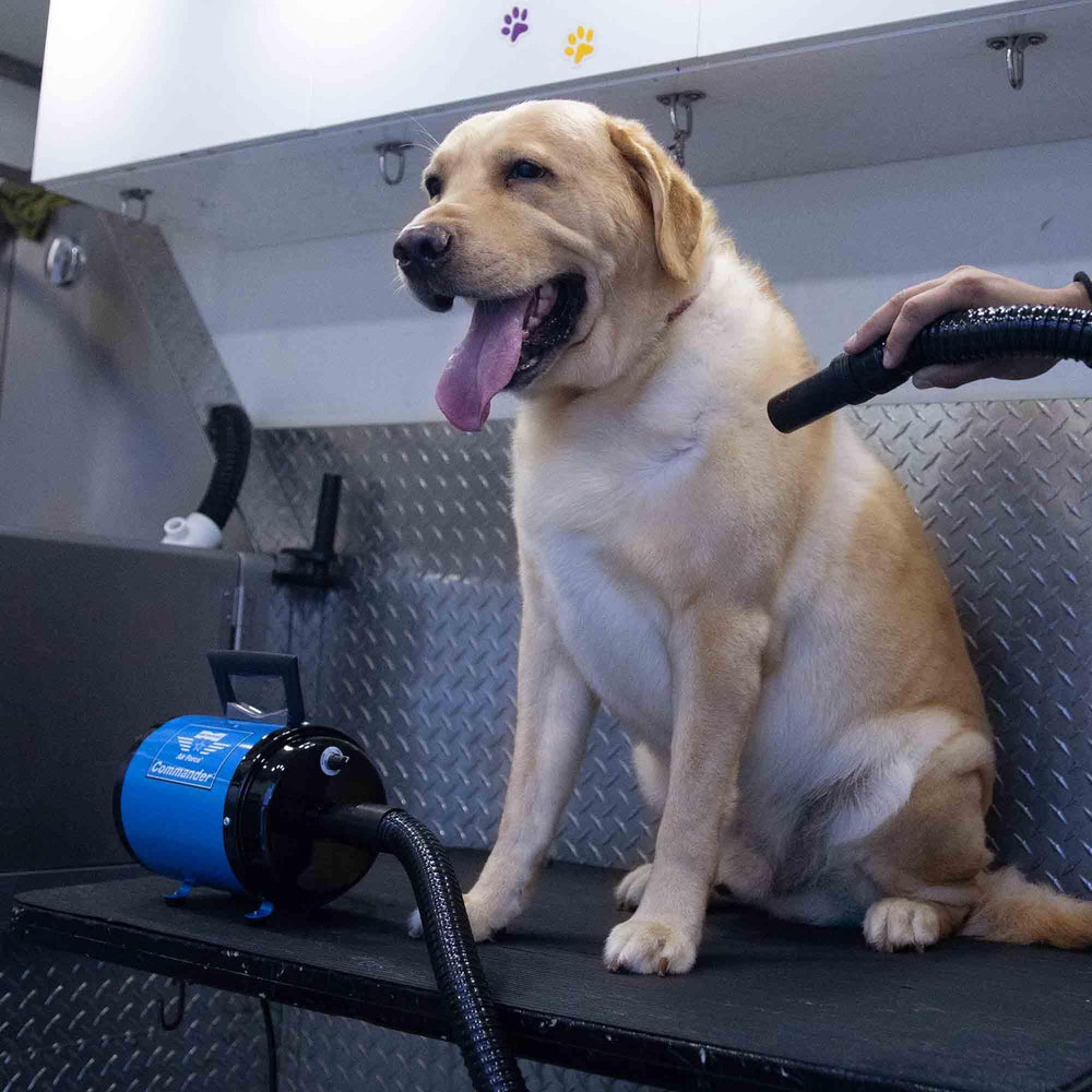 METROVAC AFTD-3 drying setup in action for efficient pet grooming