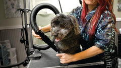 METROVAC AFTD-3V Pink drying action shows high-velocity airflow for efficient coats.