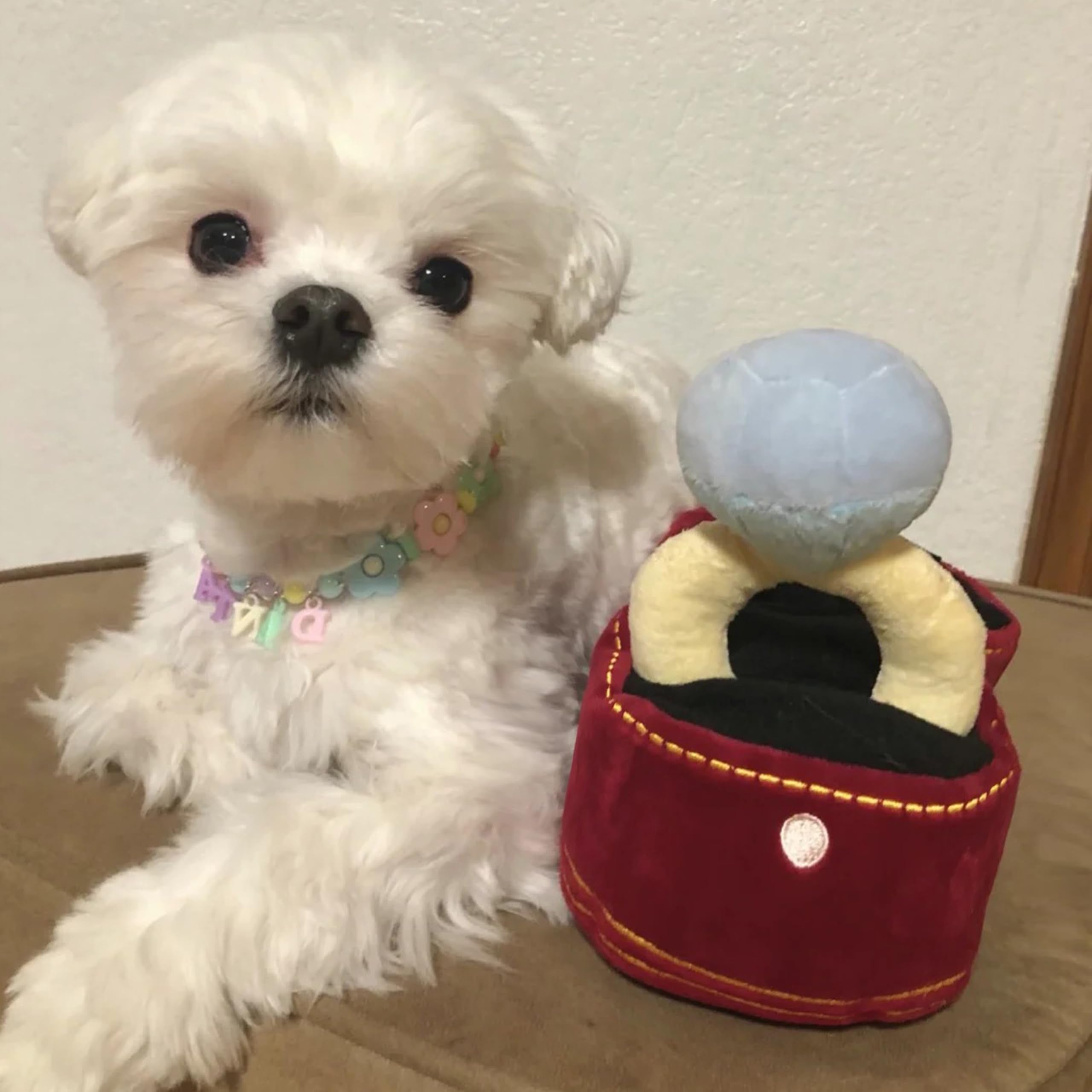 Mewcho Christmas dog gift idea for birthdays and holidays