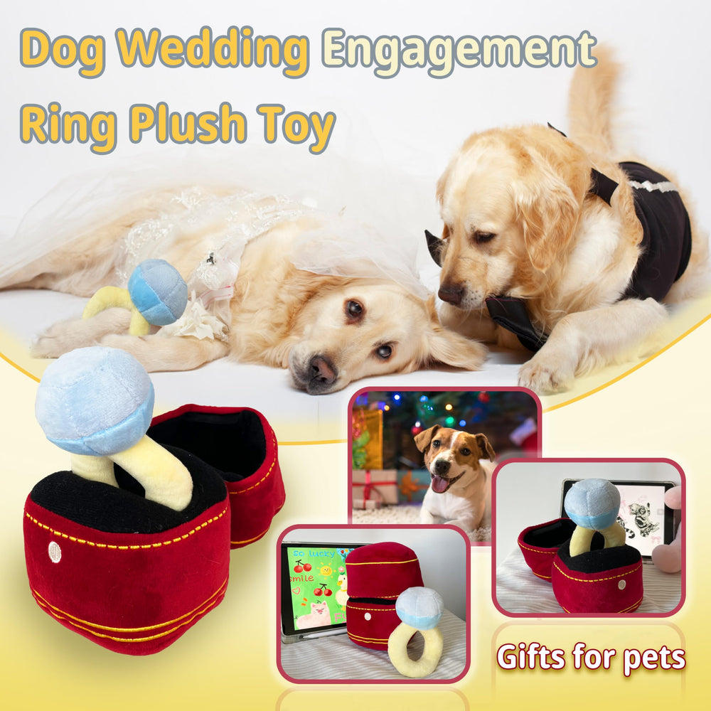 Mewcho dog engagement play image shows playful interaction during party