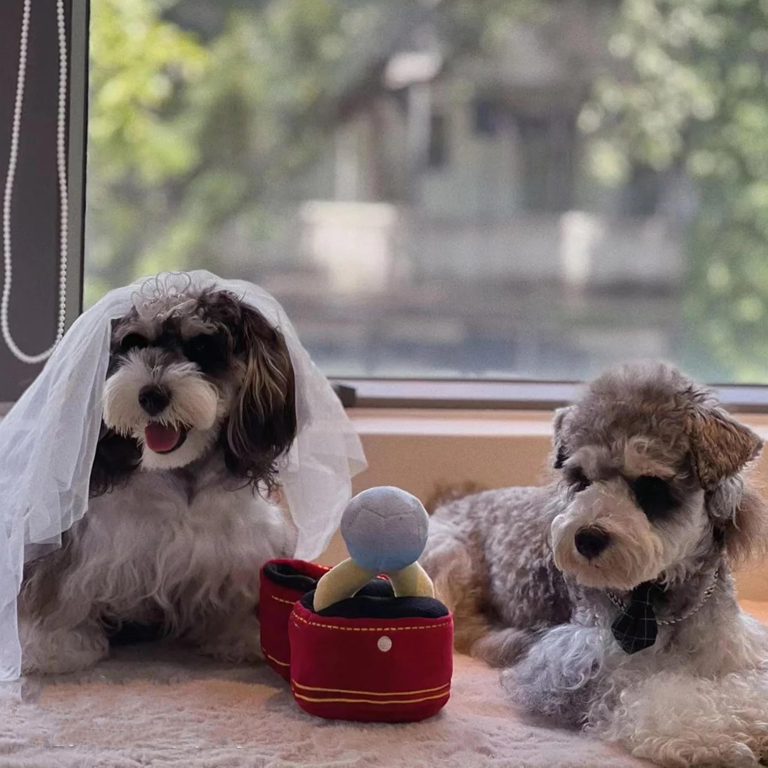 Mewcho plush ring squeaky feature adds fun to game time