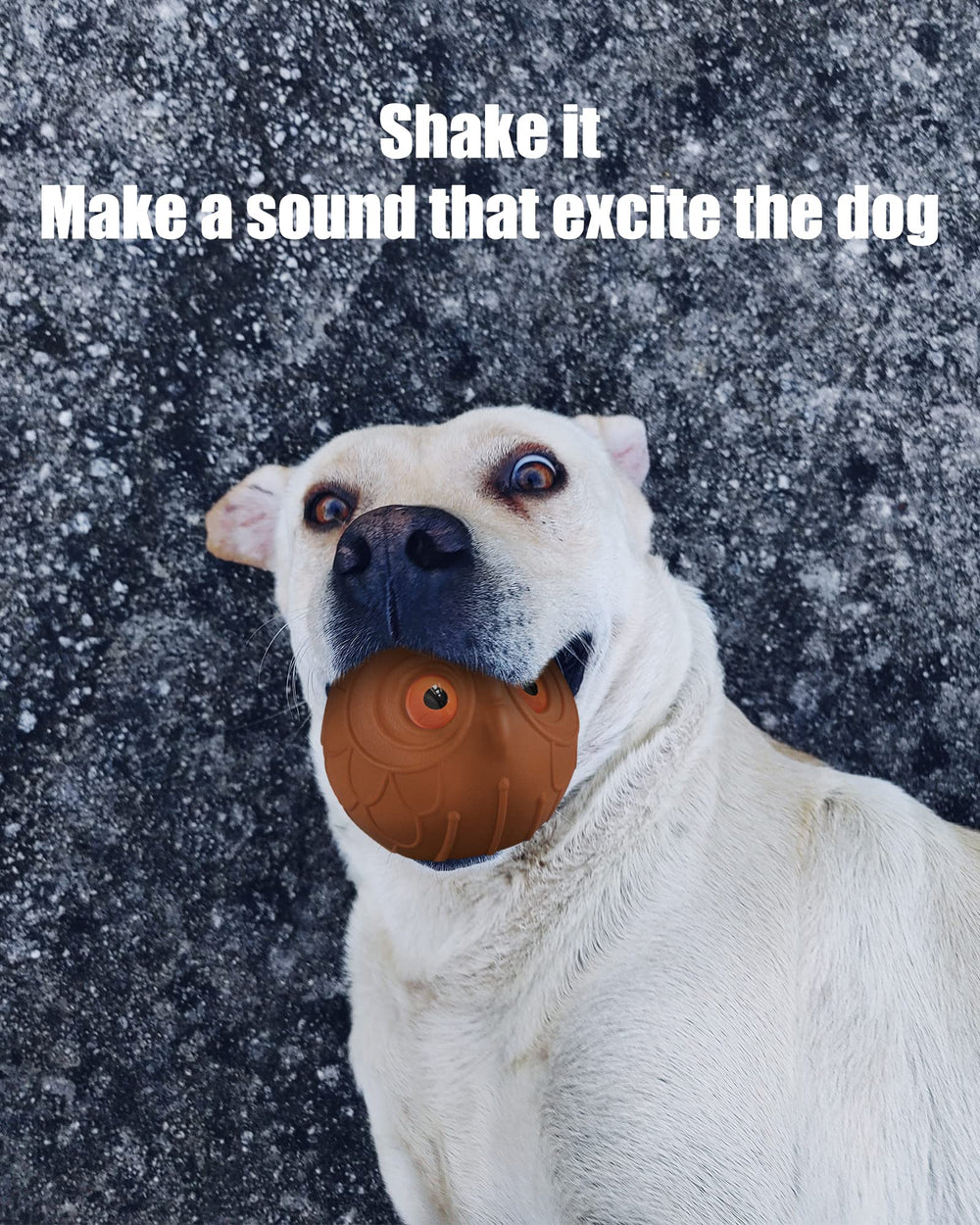 Mewlmart Giggle Ball durable-chew supports lasting chew sessions for tough chewers.