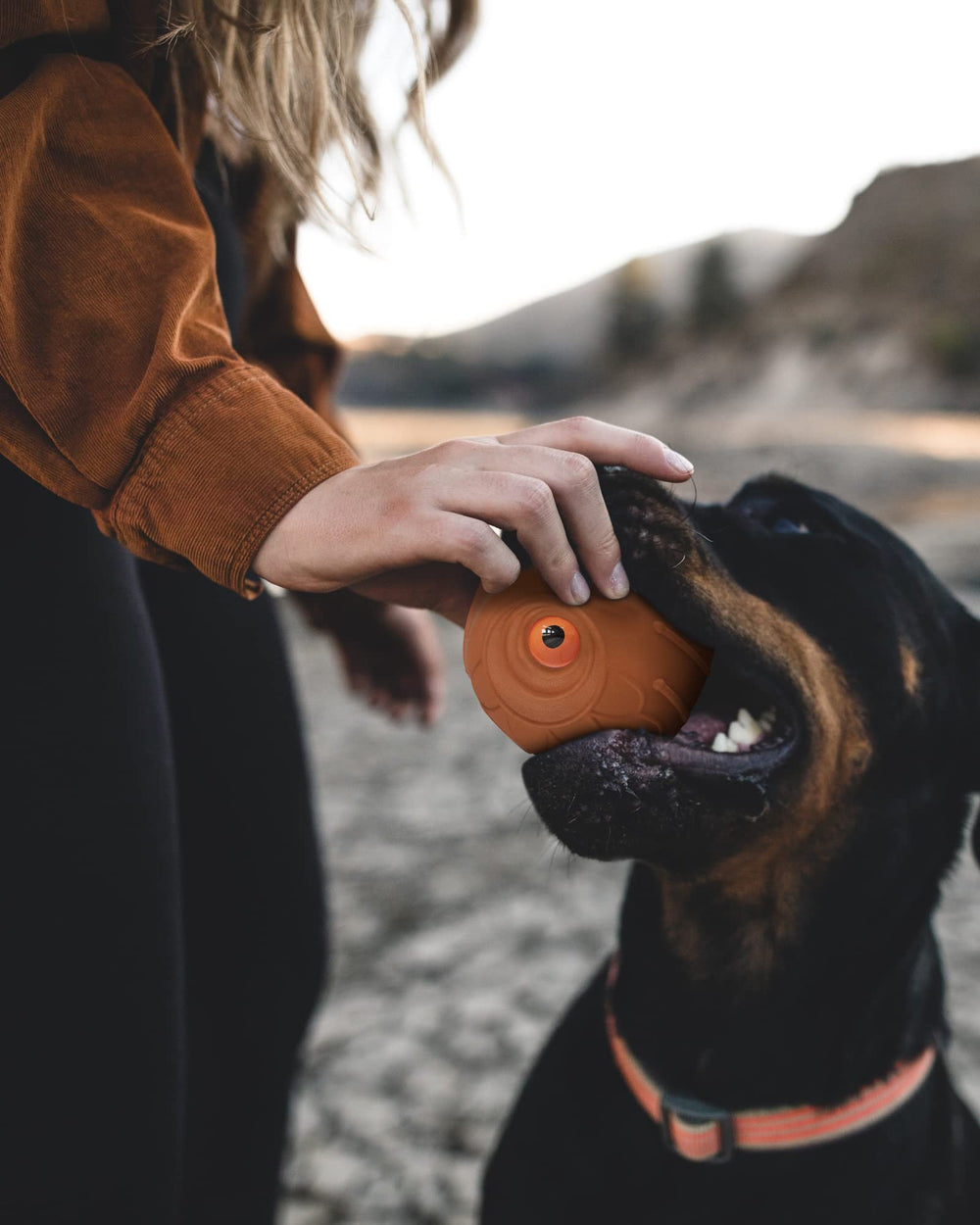 Mewlmart Giggle Ball puppy-play-fun promotes bite coordination and interactive fun.
