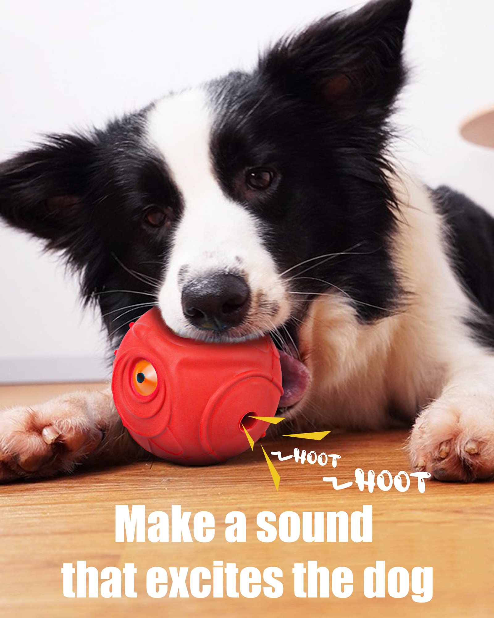 Patented owl appearance adds visual appeal for dogs