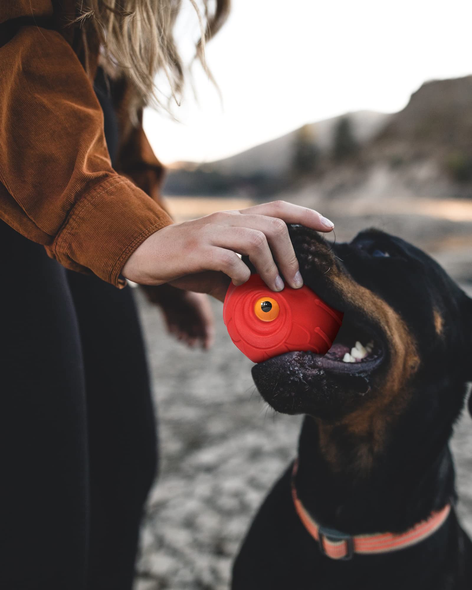 Safety reminder avoid toothpaste on dog toys