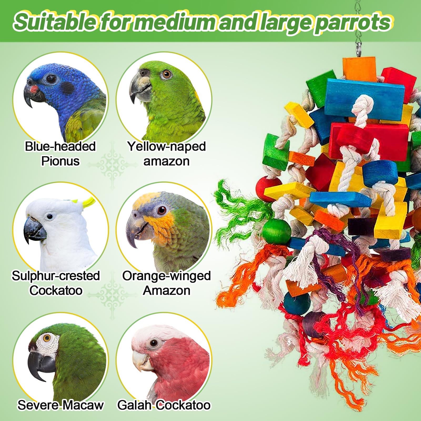 MEWTOGO African Grey-friendly toy designed for medium to large parrots