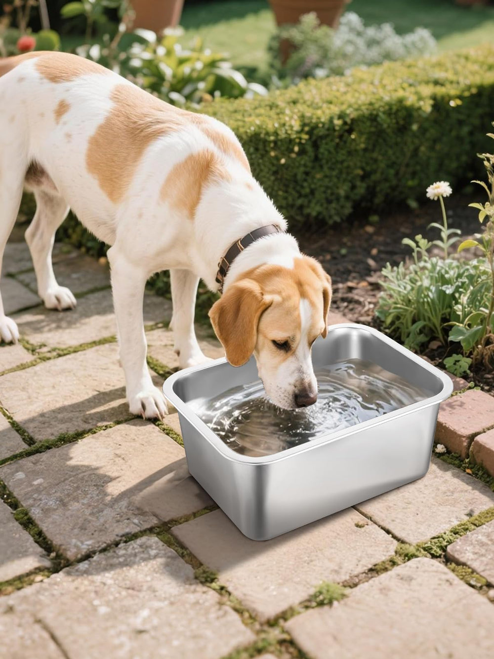 MEWTOGO high-capacity bowl suitable for households with multiple pets.
