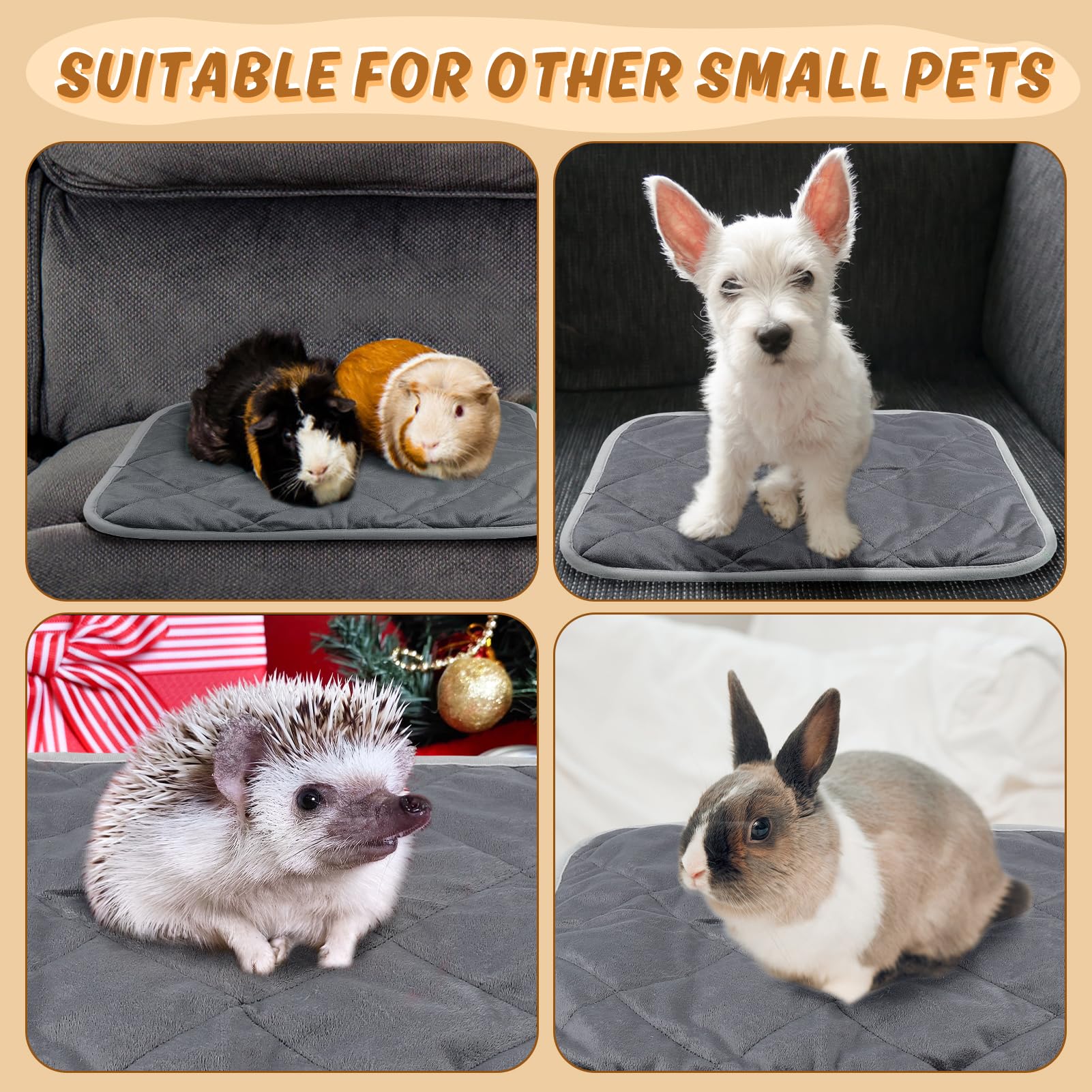 MEWTOGO indoor warmth solution provides a cozy space for cats.