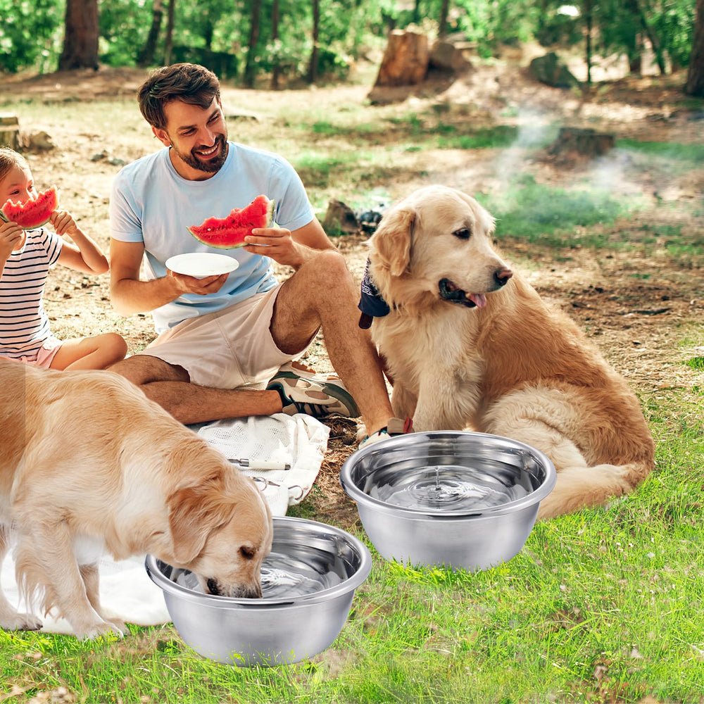 Mewtogo large-capacity bowls enable multiple dogs to hydrate together