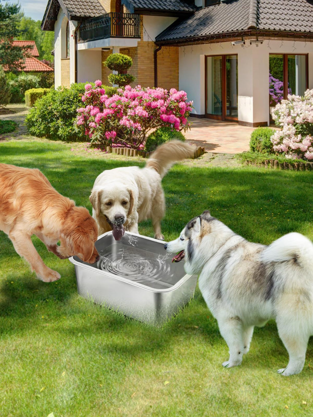 MEWTOGO multi-dog-feeding-solution supports simultaneous drinking for large households.