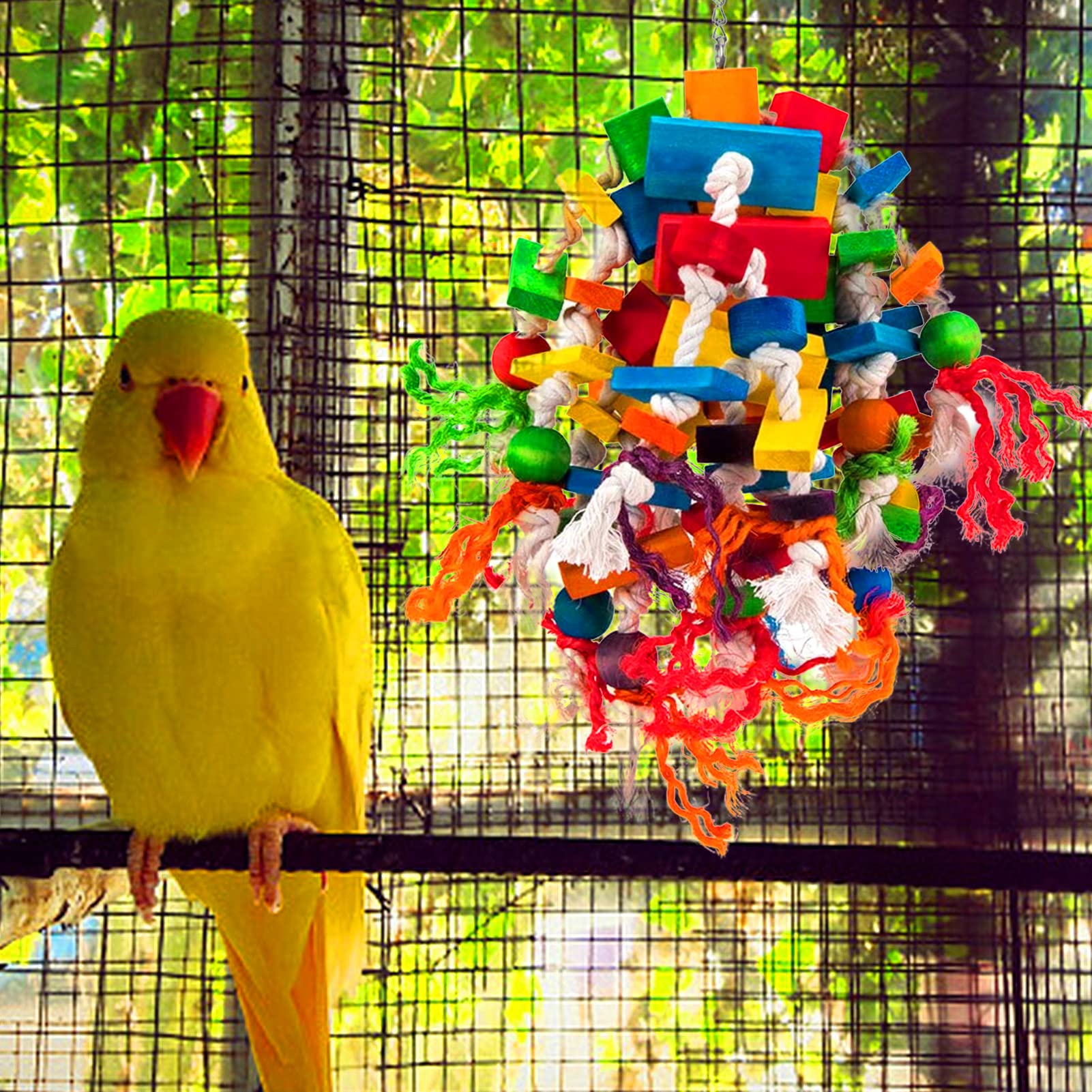 MEWTOGO natural wood parrot toy showcases safe chews and durable design