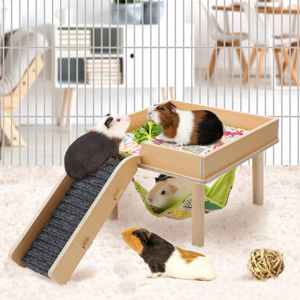 MEWTOGO small pet hideout supports safe exploration for piggies, hamsters, and bunnies.