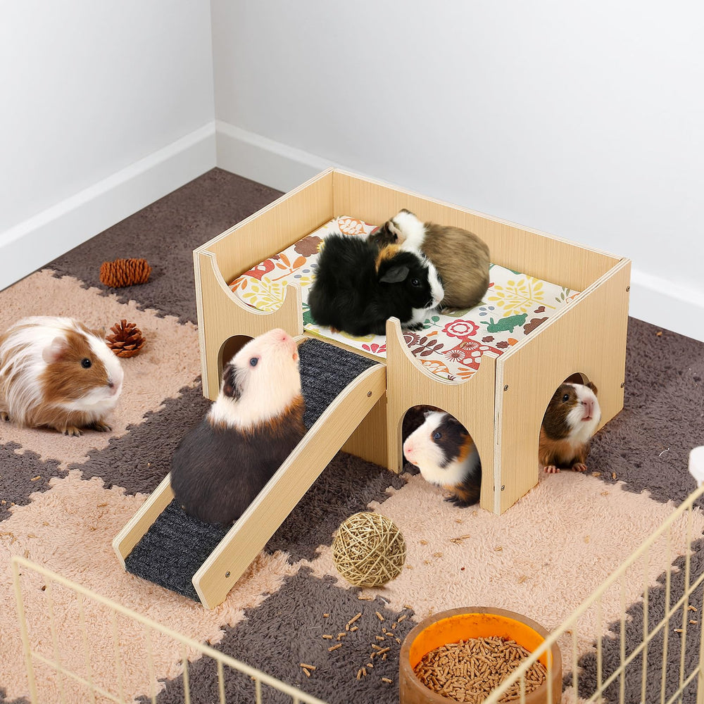 MEWTOGO small animals home fits guinea pigs, hamsters, and more