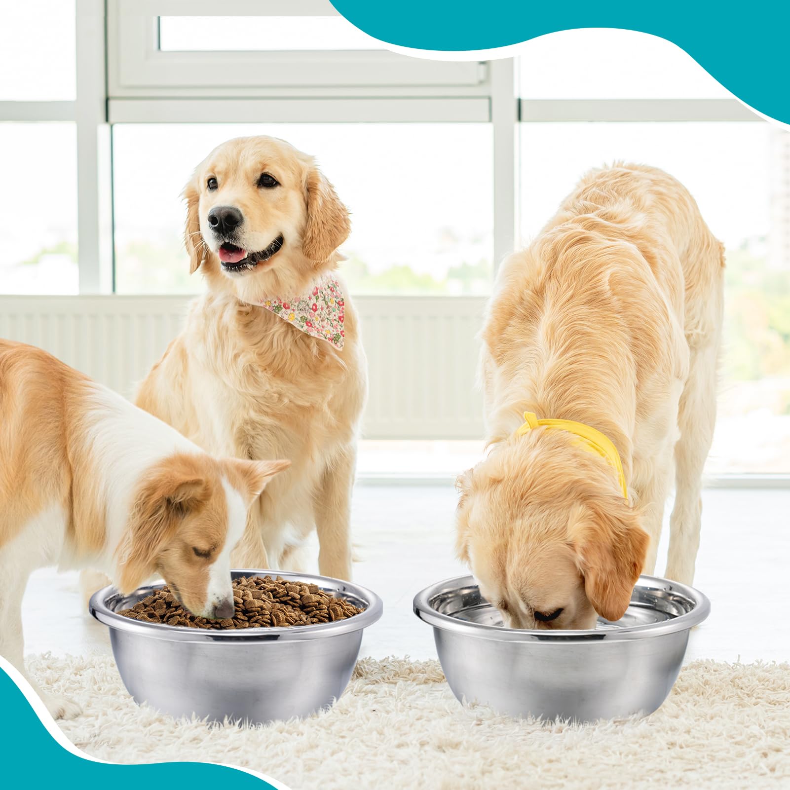 Mewtogo wide-opening bowls reduce spill and support simultaneous drinking