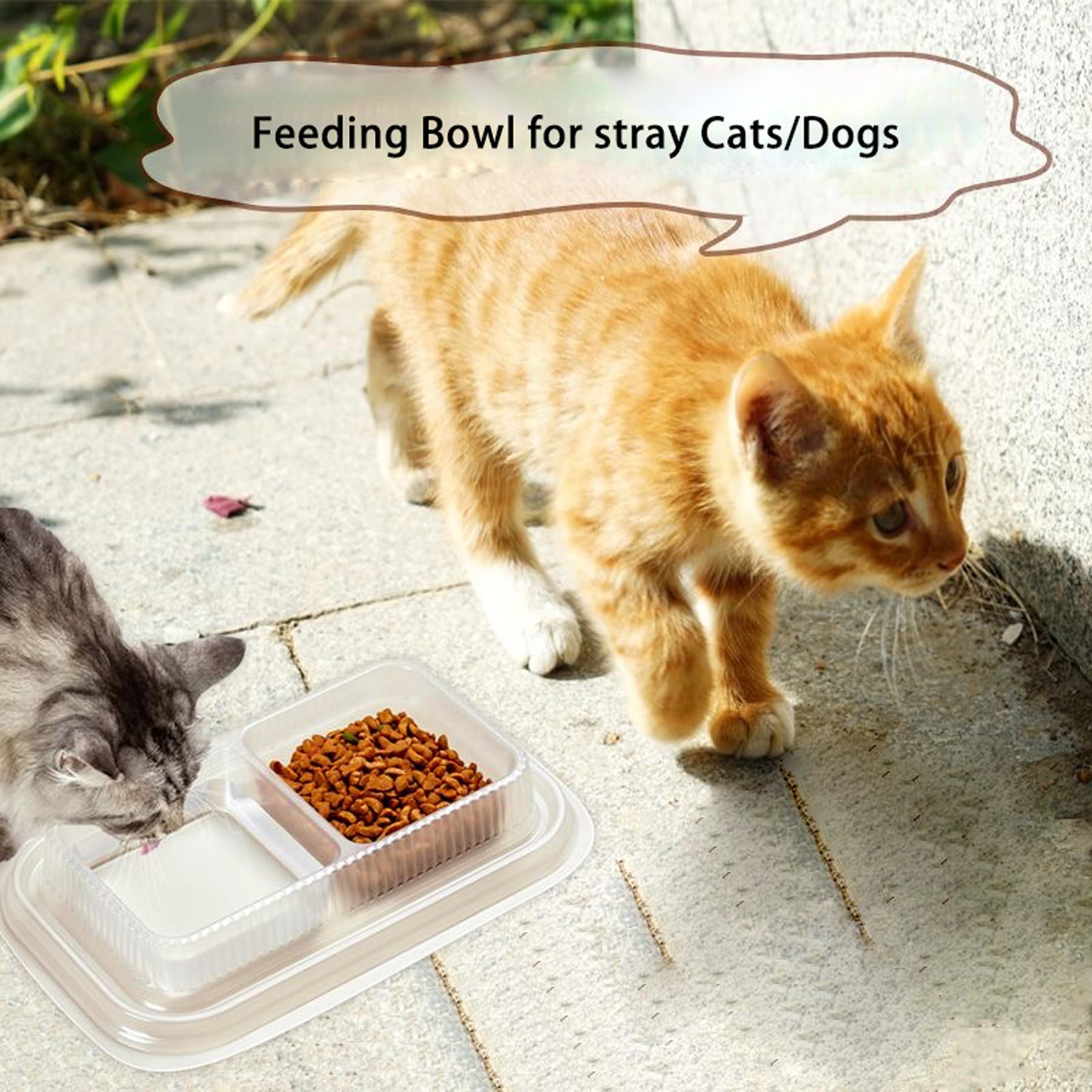 MEYAGO disposable pet bowls lightweight recyclable plastic for easy transport