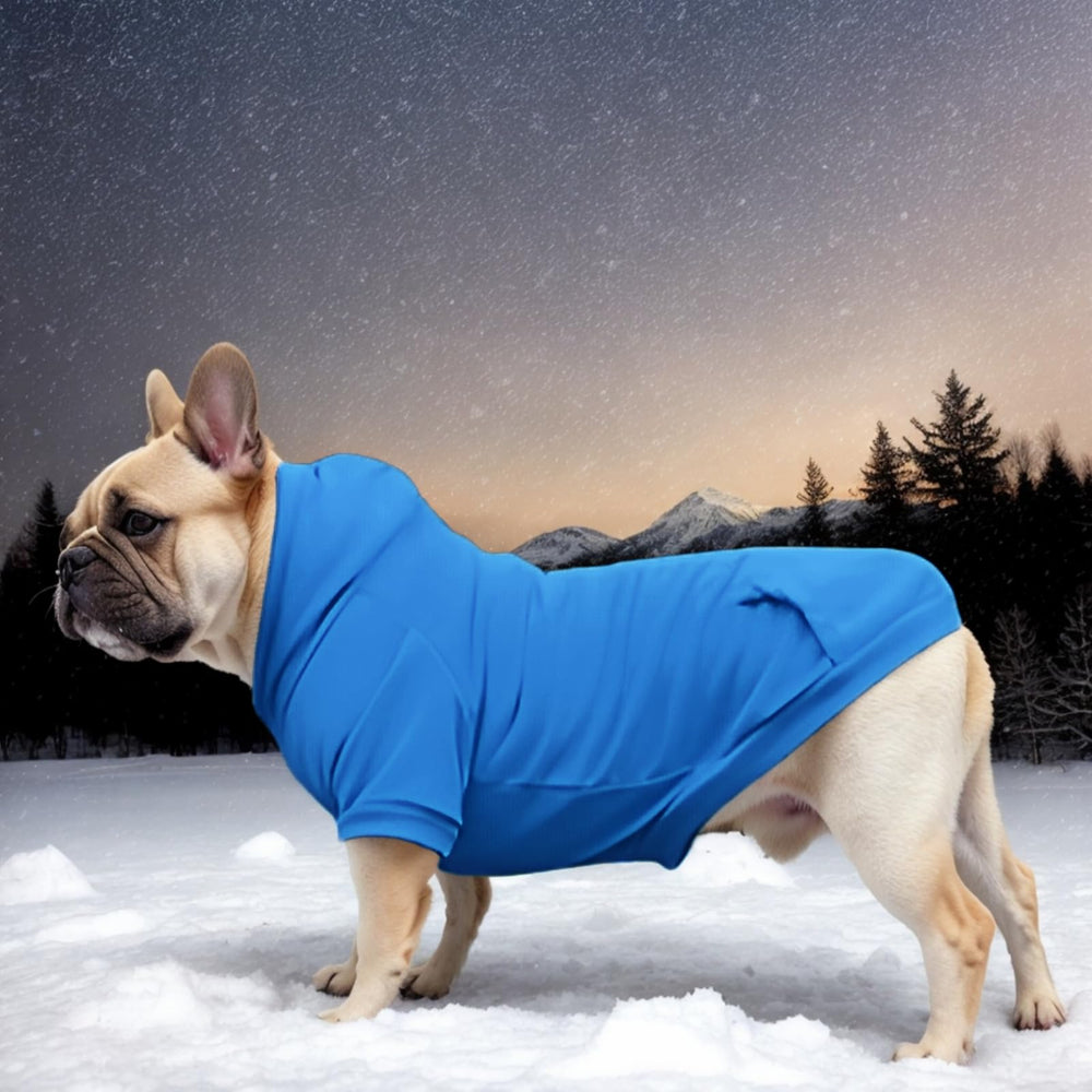 Mfiker large-dog-hoodie 2xl-size-guide shows chest and neck fit guidance.