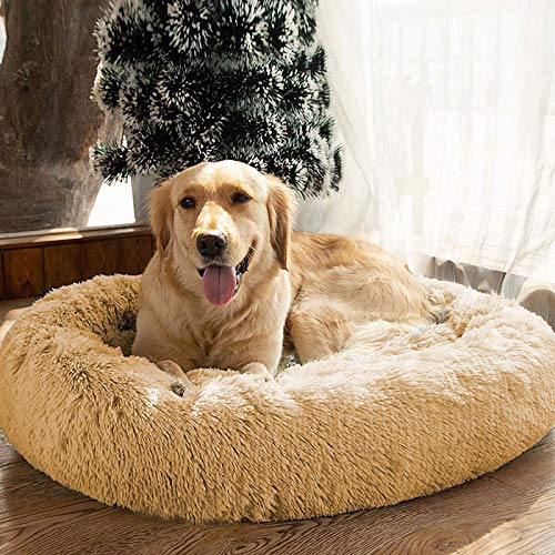 MFOX Calming Dog Bed dog resting contentedly on plush bed.