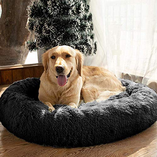 MFOX Calming Dog Bed dog curling up for a restful snooze