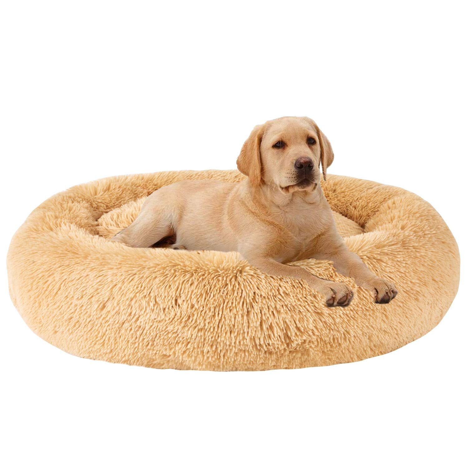 MFOX Calming Dog Bed donut design for cozy, secure cuddling.