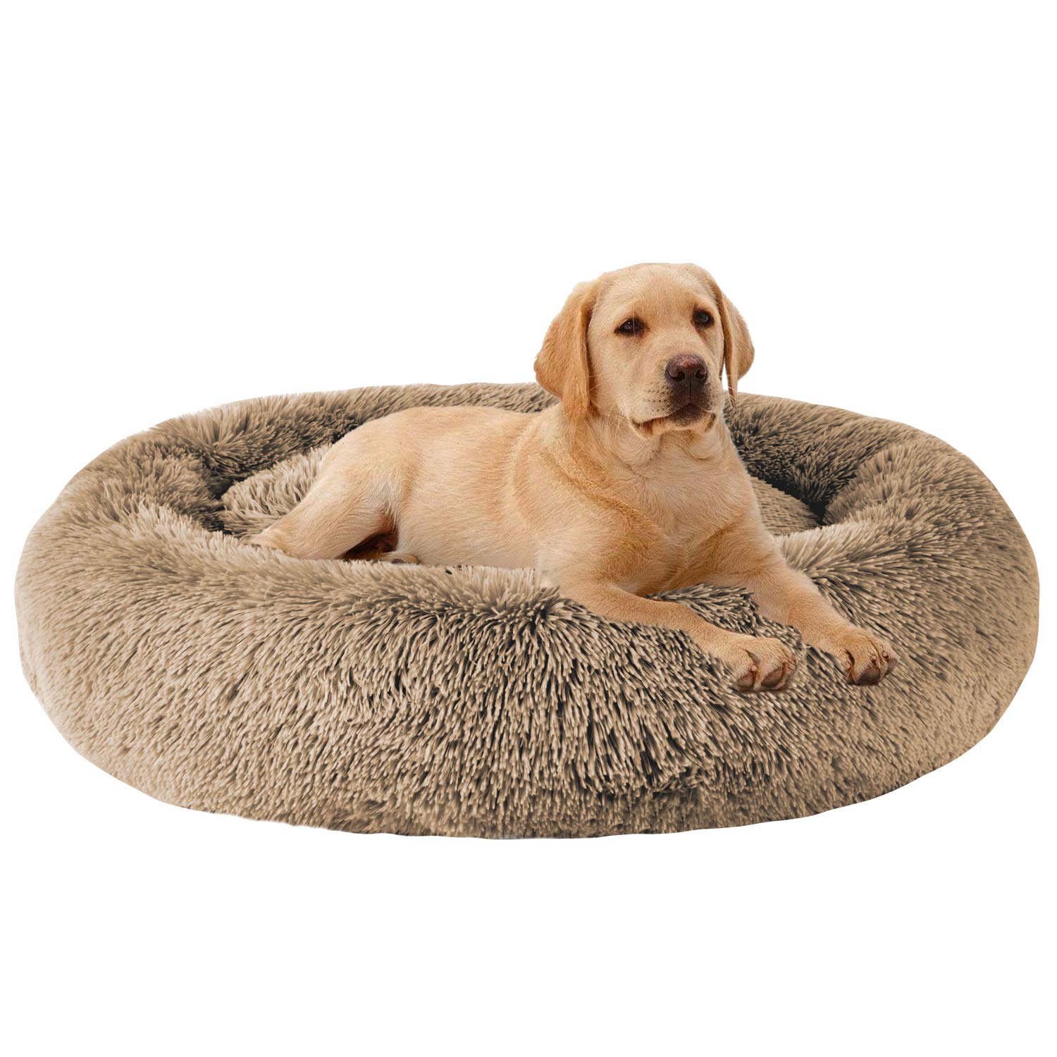 MFOX Calming Dog Bed top view shows plush donut shape for secure, cozy naps