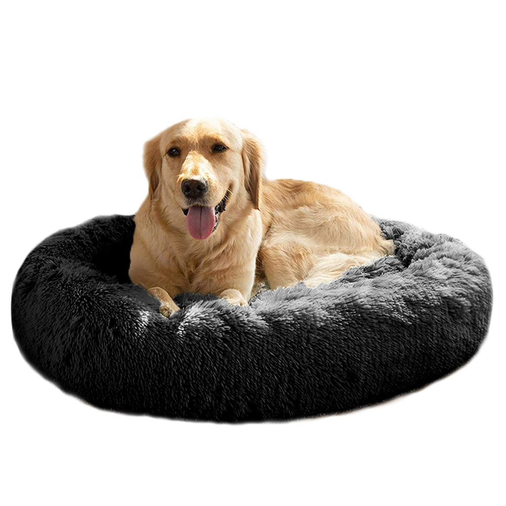MFOX Calming Dog Bed front view shows a cozy, secure retreat for comfortable lounging