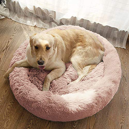 MFOX Calming Dog Bed placed in a cozy bedroom setup for restful naps.