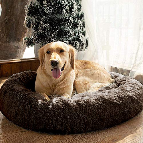 MFOX Calming Dog Bed with chew toy on bed for puppies.
