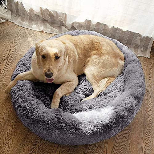 MFOX Calming Dog Bed room setup cozy image emphasizes home-ready comfort