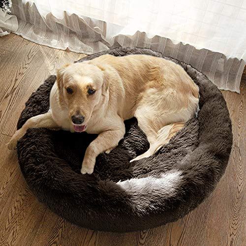 MFOX Calming Dog Bed size variants illustrate S/M/L/XL fit guidance.