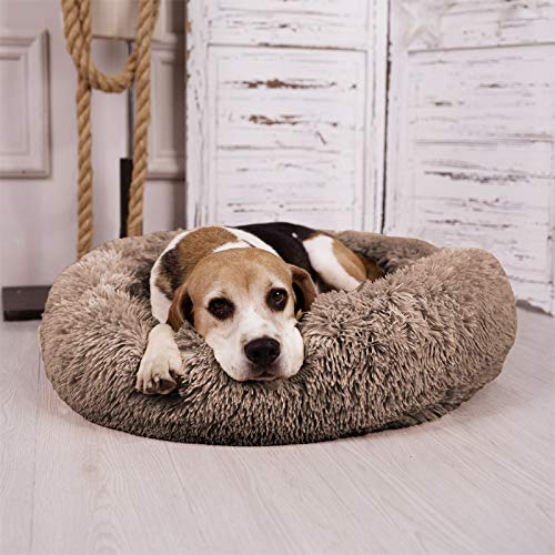 MFOX Calming Dog Bed unboxing scene showcasing fluffy, inviting interior