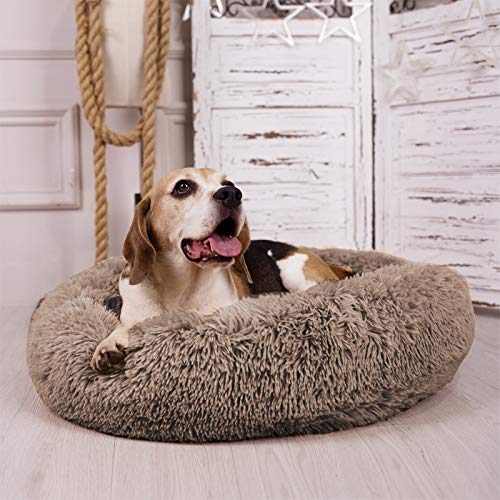 MFOX Calming Dog Bed vacuum-sealed packaging before unpacking