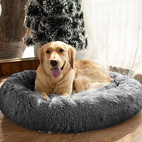 MFOX Calming Dog Bed XL size shows space for large dogs up to 90 pounds.