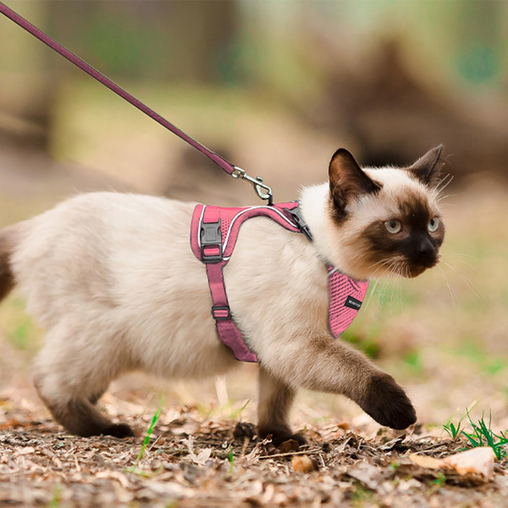 MHHYQF cat harness on-walk-use pink demonstrates everyday travel readiness.