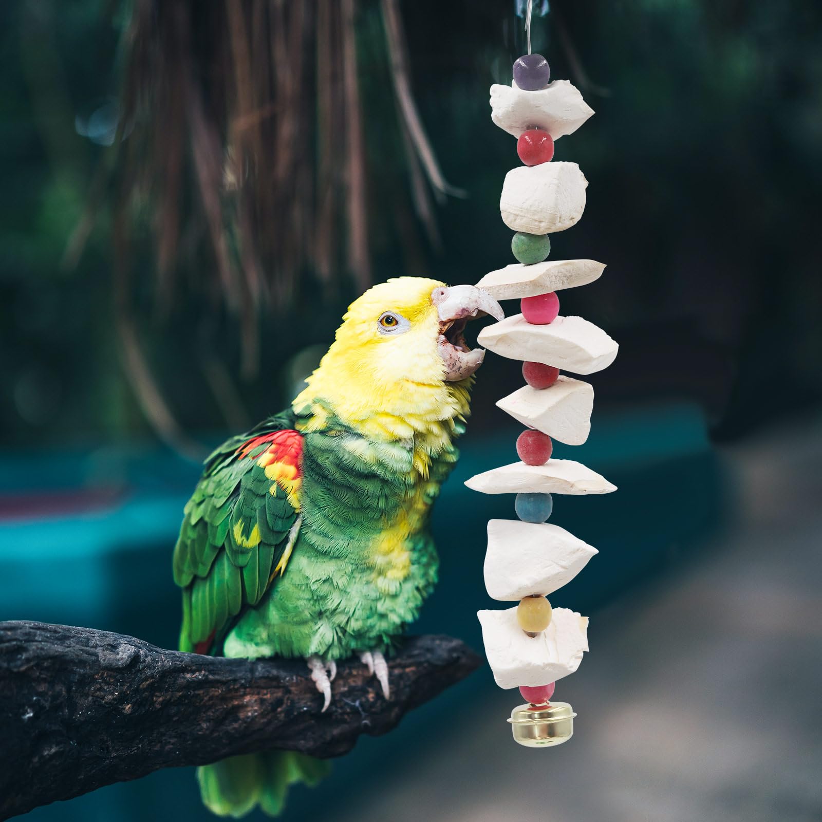 MHLLGN cage-ready toys with durable, non-toxic materials for daily use