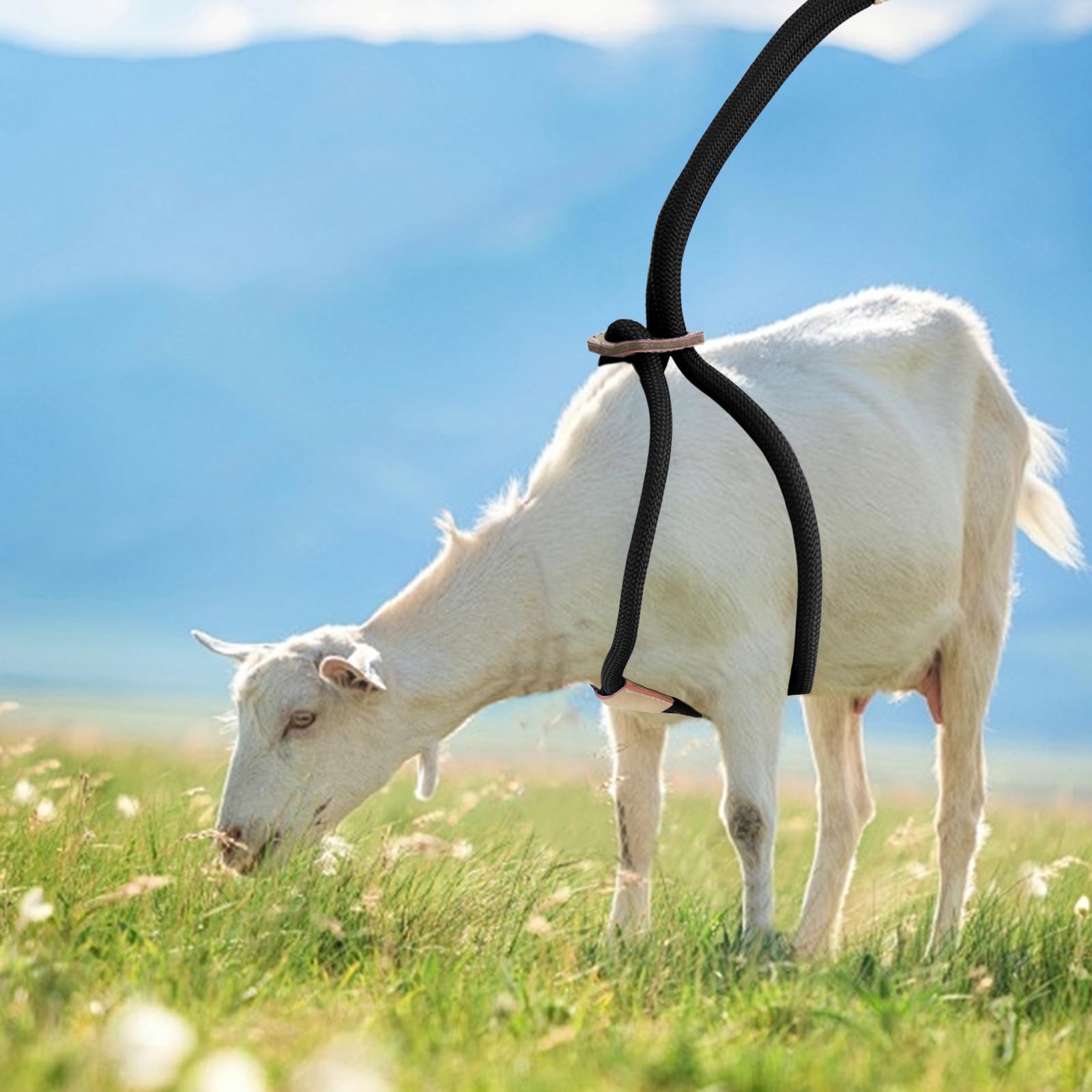 MHLLGN goat harness adjustable size ensures a secure, comfortable fit for varied livestock.